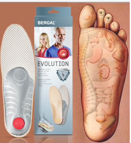 BERGAL EVOLUTION STABILITY 